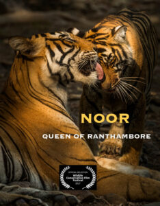 Noor – Queen of Ranthambore<p>(India)